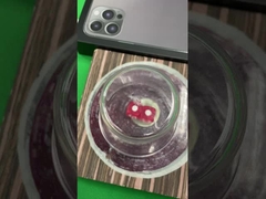 Sistema magnético eletrônico de engano personalizado dos dados do dispositivo dos dados