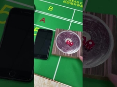 De plástico 12mm / 16mm Set de dados Jogo de azar Casino Jogo de dados com impressão animal