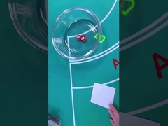 De plástico 12mm / 16mm Set de dados Jogo de azar Casino Jogo de dados com impressão animal